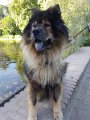 filou (47)